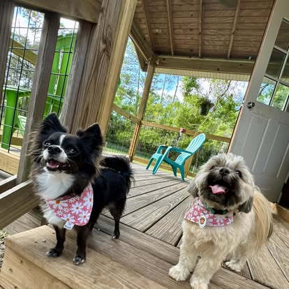 ElderPaws Park