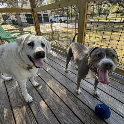 ElderPaws Park